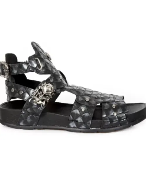 Clearance New Rock Bio eta ku -Bio17-C8