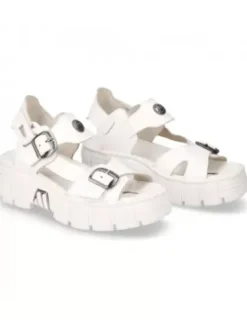 New Rock -BIO117-C2