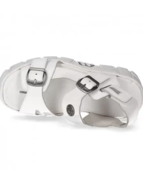 New Rock -BIO117-C2