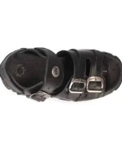 Best New Rock etaic -Bio101-C2